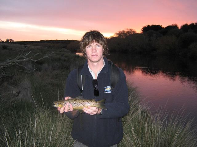 evandale trout